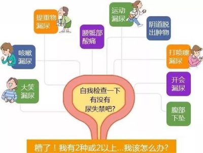 盆底超聲，讓難言之隱不再難查！